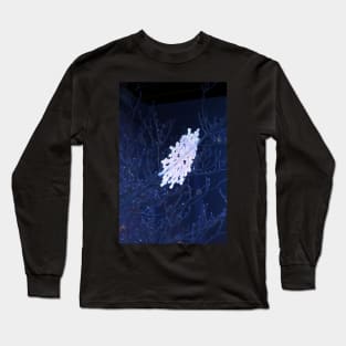 snowflake in blue 6 Long Sleeve T-Shirt